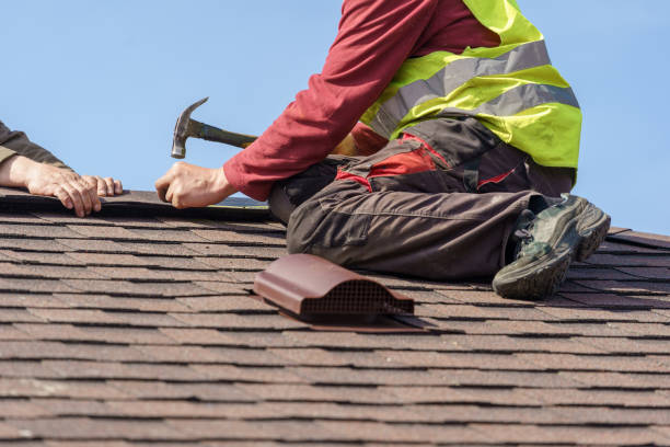 Best Roof Gutter Cleaning  in Ashdown, AR