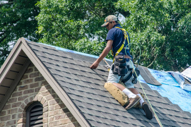Best Roof Gutter Cleaning  in Ashdown, AR